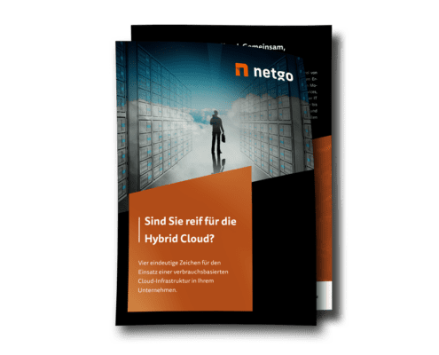 Whitepaper Download: Sind Sie reif für die Hybrid Cloud?