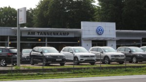 Autohaus am Tannenkamp: Mit netgo freie Fahrt fürs Geschäft